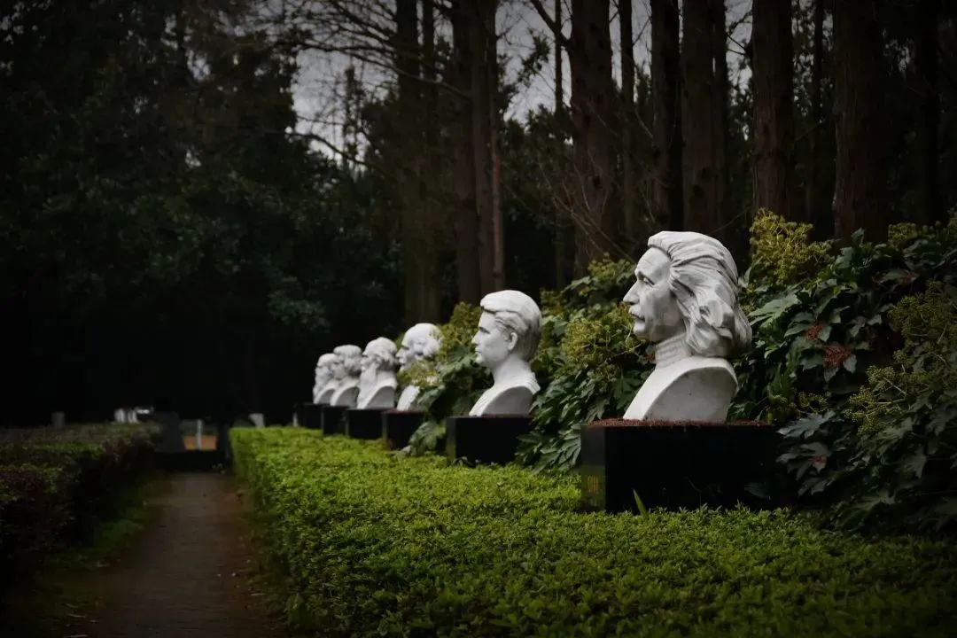 牛顿晚年研究神学,杨振宁承认造物主存在,科学的尽头是玄学?(图4) 50.jpg