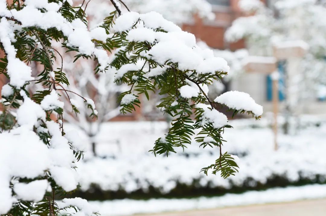 冬至 | 数九寒冬,火力全开(图9) 28.jpg