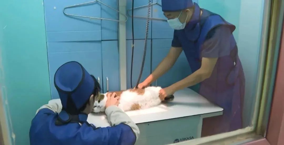 买不起房的北漂,在燕郊搭建起熟人社会(图9) 35.jpg