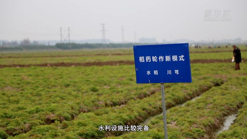 新华全媒+|从中央农村工作会议看2023年“三农”工作这么干(图5) 新华全媒+|从中央农村工作会议看2023年“三农”工作这么干(图5)