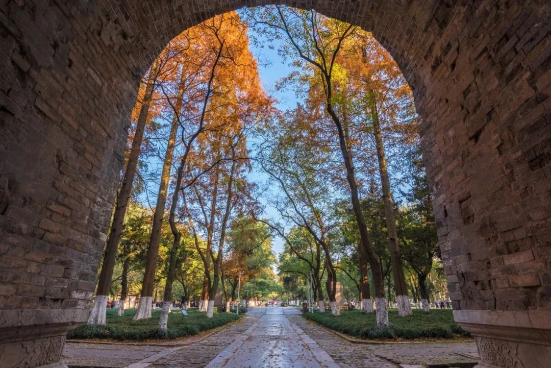 明朝第一悬案,悬了600年,至今无解!(图3) 49.jpg