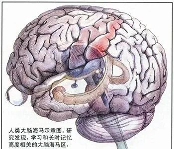 你是否感觉眼前的一切仿佛发生过?为什么感觉似曾相识?(图1) 20.jpg