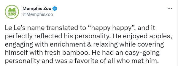 旅美大熊猫“乐乐”离世终年25岁 网友:心都碎了(图1) 旅美大熊猫“乐乐”离世终年25岁 网友:心都碎了(图1)