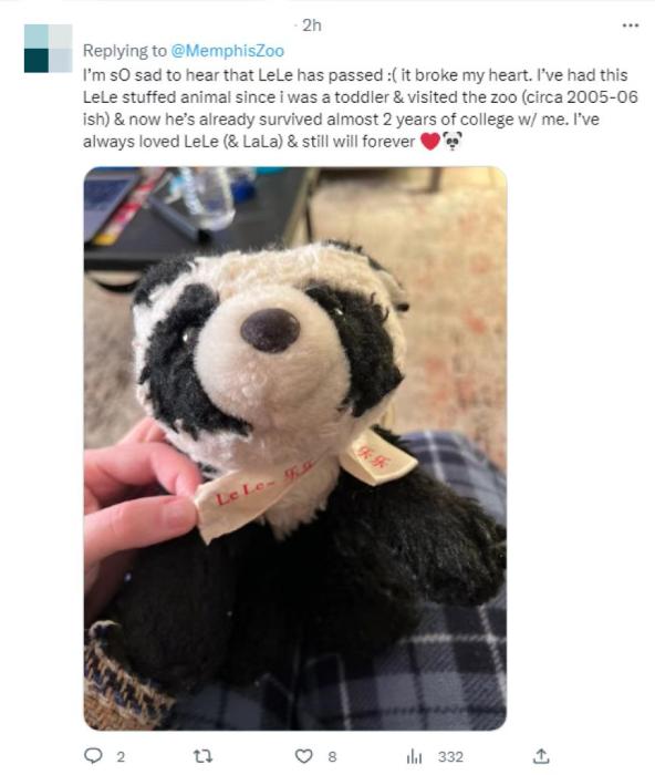 旅美大熊猫“乐乐”离世终年25岁 网友:心都碎了(图3) 旅美大熊猫“乐乐”离世终年25岁 网友:心都碎了(图3)