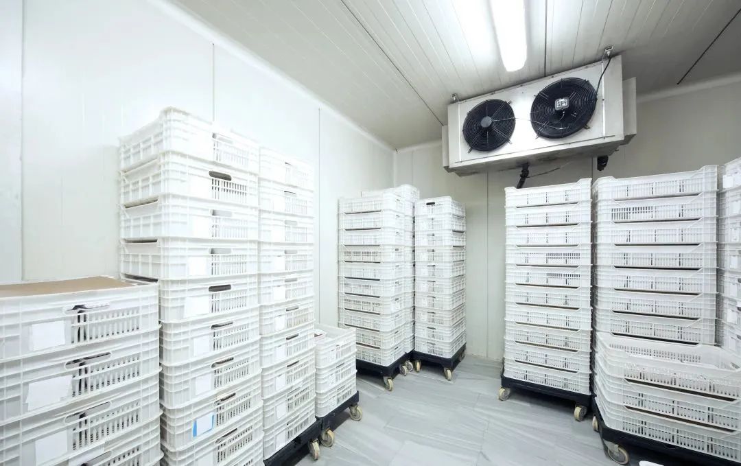 9块9一斤的丸子,到底用的什么肉?(图8) 52.jpg