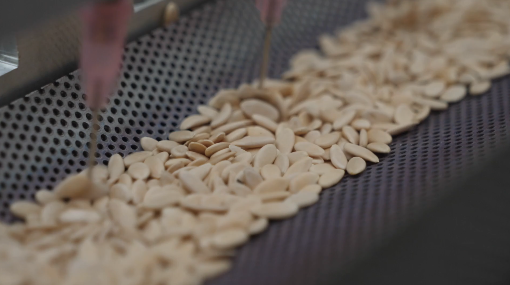 田间地头启用“黑科技” 庄稼丰收有底气(图1) 田间地头启用“黑科技” 庄稼丰收有底气(图1)