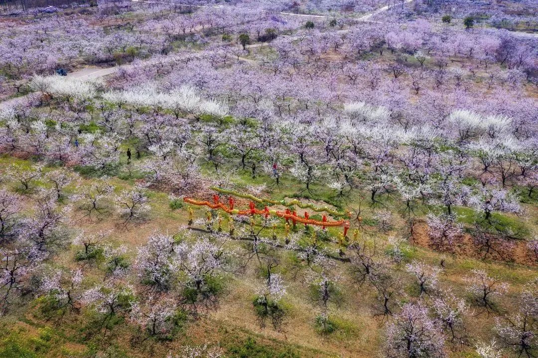 二月二,龙抬头,一年鸿运好兆头!(图16) 37.jpg