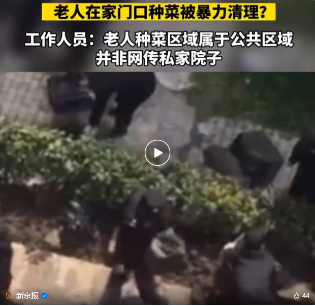 老人在家门口种菜被暴力清理?小区保安回应(图1) 020.png
