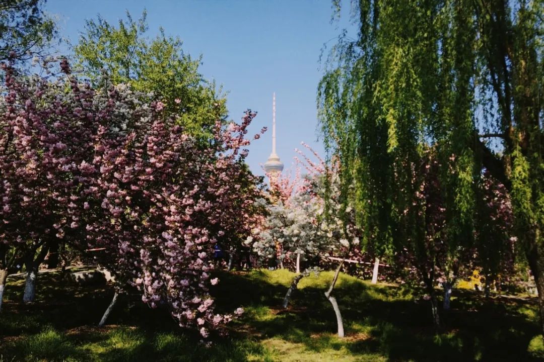 春暖花开宜出游,送你30句春游诗词(图4) 46.jpg