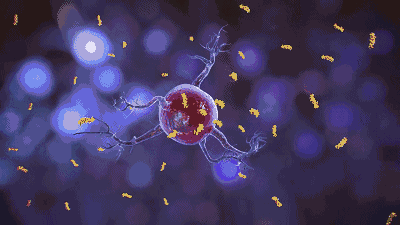 美国衰老研究所:降低进食量,能延年益寿(图2) 28.gif