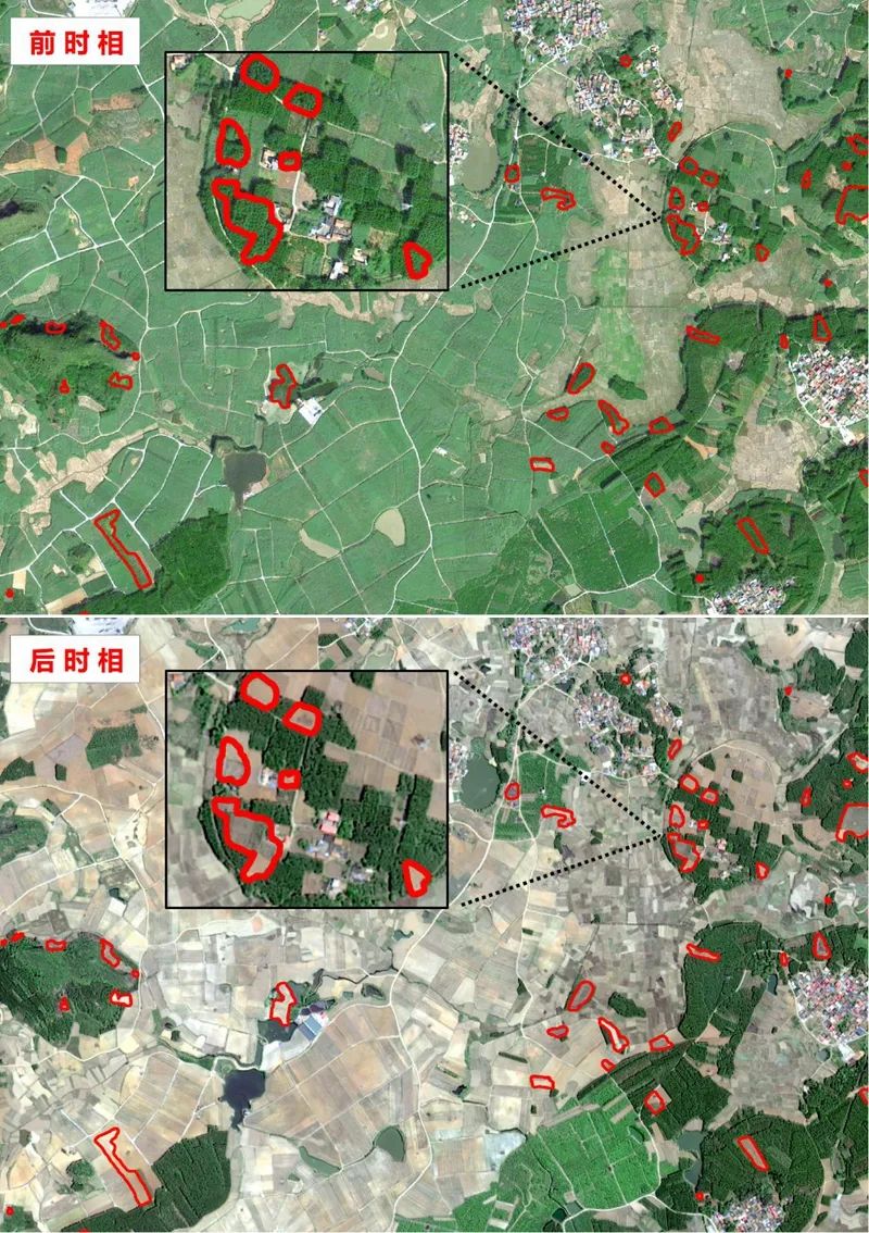 "又在折腾基层!逼村干部种田,逼群众砍茶树,深山老林开荒喂野猪……"(图2) 3.jpg