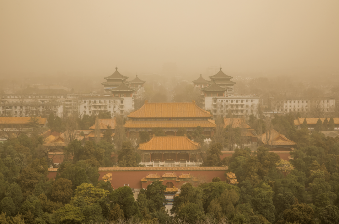 今年最强沙尘暴来袭,防护林为何挡不住沙?(图3) 25.png