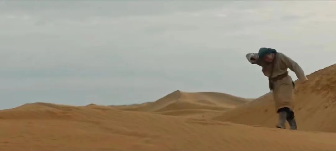 今年最强沙尘暴来袭,防护林为何挡不住沙?(图7) 29.jpg