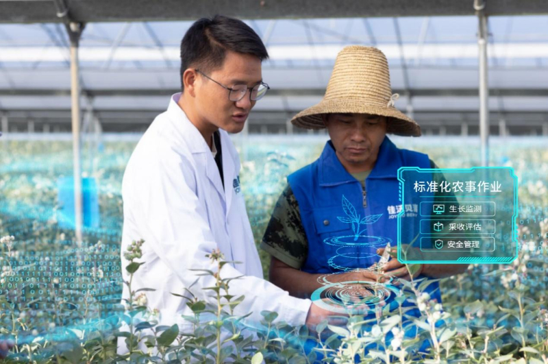 赋能与富农——佳沃农食数智化样板激发产业创新变革(图5) 赋能与富农——佳沃农食数智化样板激发产业创新变革(图5)