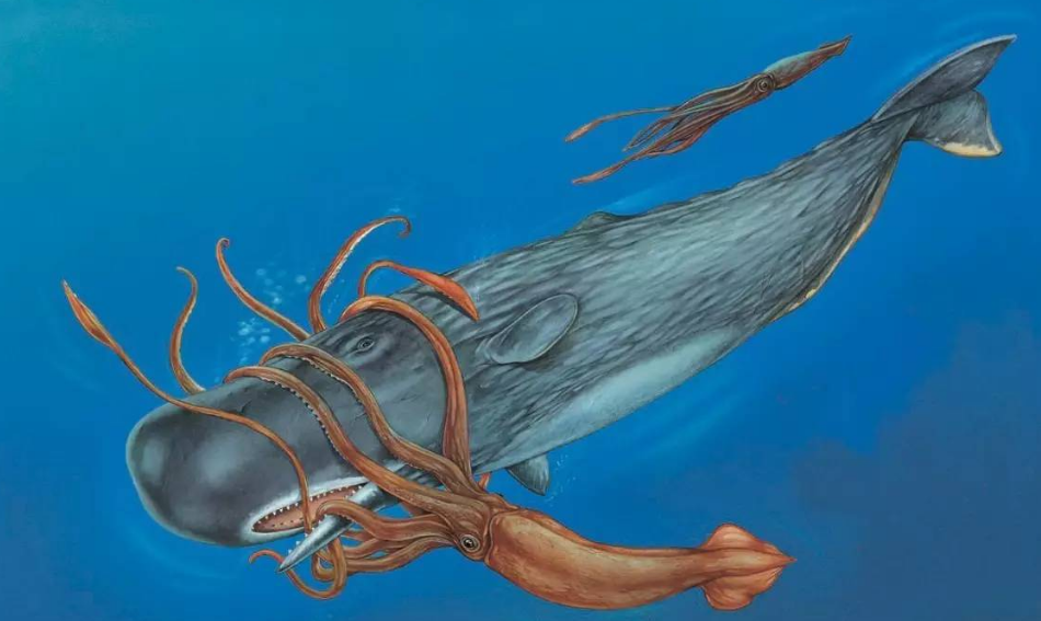 下潜1万多米的海底,科学家发现了不该发现的东西,是什么?(图7) 27.png