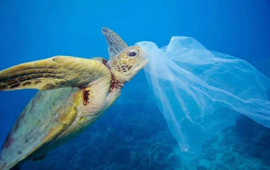 下潜1万多米的海底,科学家发现了不该发现的东西,是什么?(图13) 33.png