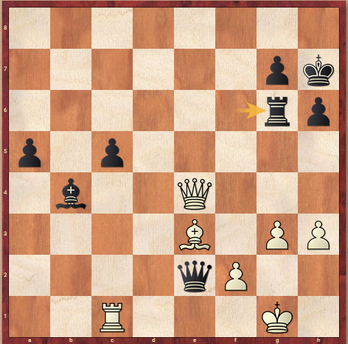 追光 | 丁立人,世界冠军!(图2) 追光 | 丁立人,世界冠军!(图2)