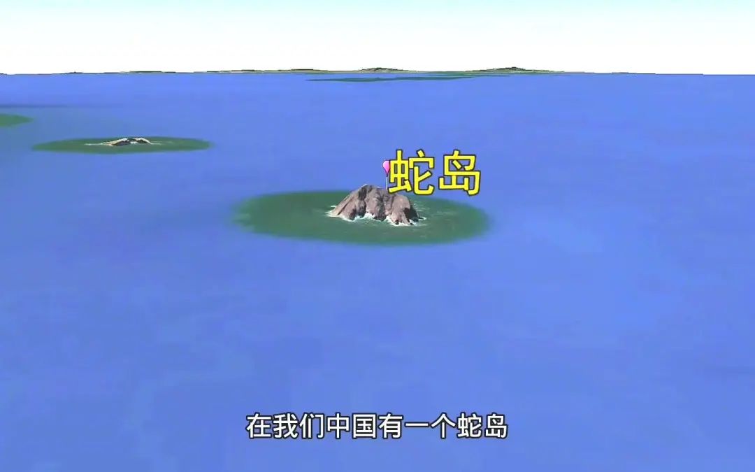 大连蛇岛疯狂“内卷”,一平方公里2万多条蛇,毒性也越来越强(图1) =1.jpg