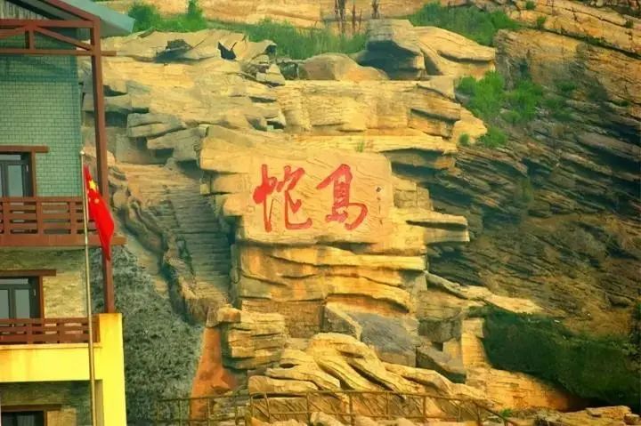 大连蛇岛疯狂“内卷”,一平方公里2万多条蛇,毒性也越来越强(图6) 6.jpg