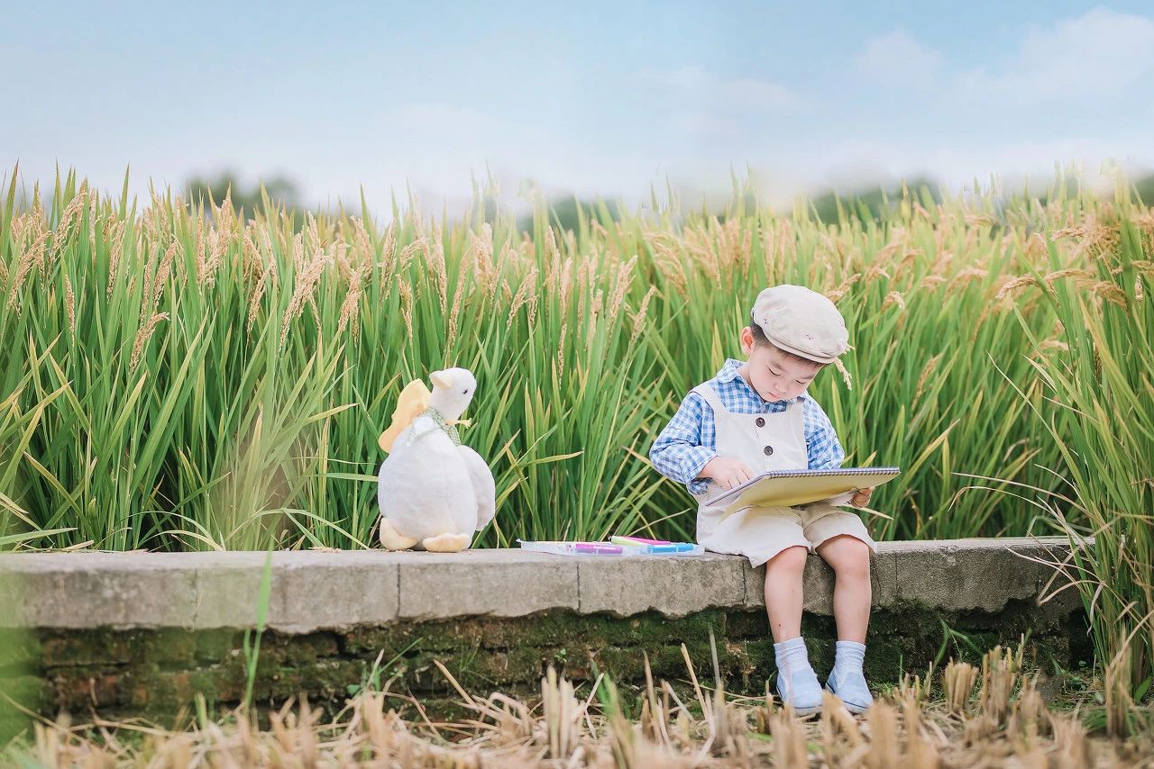 2023高考再次证明:小学欠下的阅读账,迟早是要还的(图6) 5.jpg