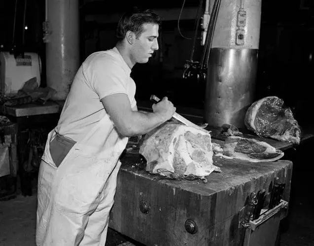 金日光教授:原子核及高能粒子物理学的基本概念之七(离奇!这种现场叫冷核反应)(图2) 2.jpg