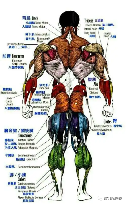 金日光教授:当年钱老说<生命动力>阴阳精气的概念中医界比西医界容易接受!【定量解读《黄帝内经》之感悟•之三十二】(图4) 3.png