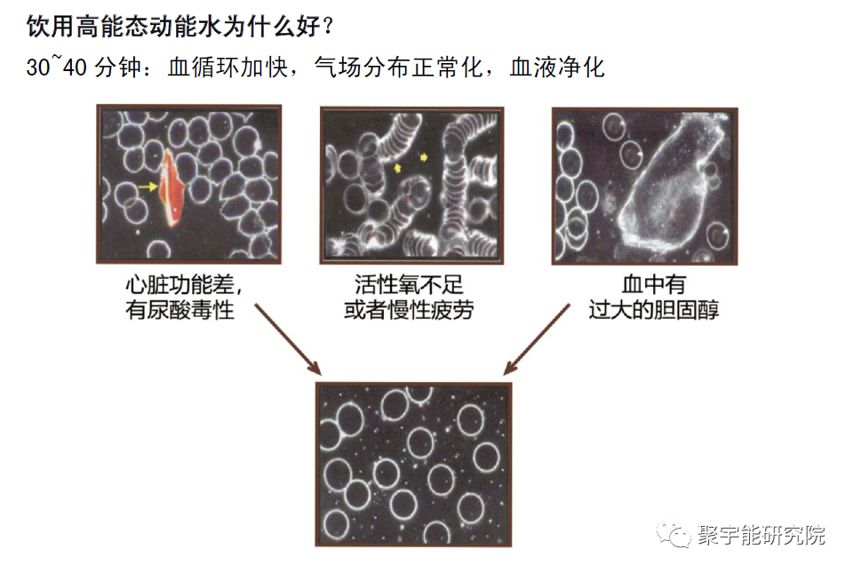 金日光教授:胸腺是干什么的?【人类器官组织的阴阳精及精气分布之内秘•之三】(图2) 2.png
