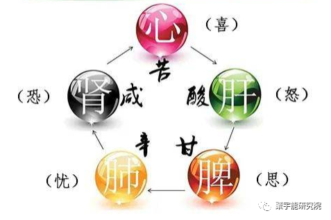 金日光教授:五脏怎么能还有情绪?【人类器官组织的阴阳精及精气分布之内秘•四】(图1) 1.png