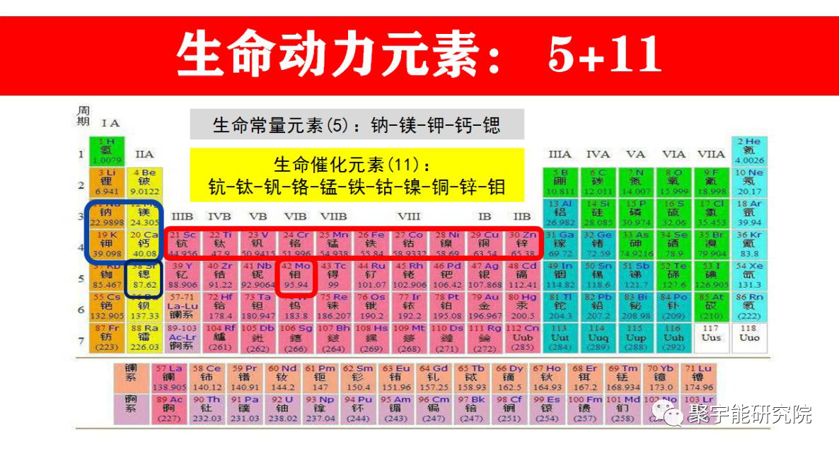 金日光教授:五脏怎么能还有情绪?【人类器官组织的阴阳精及精气分布之内秘•四】(图2) 2.png