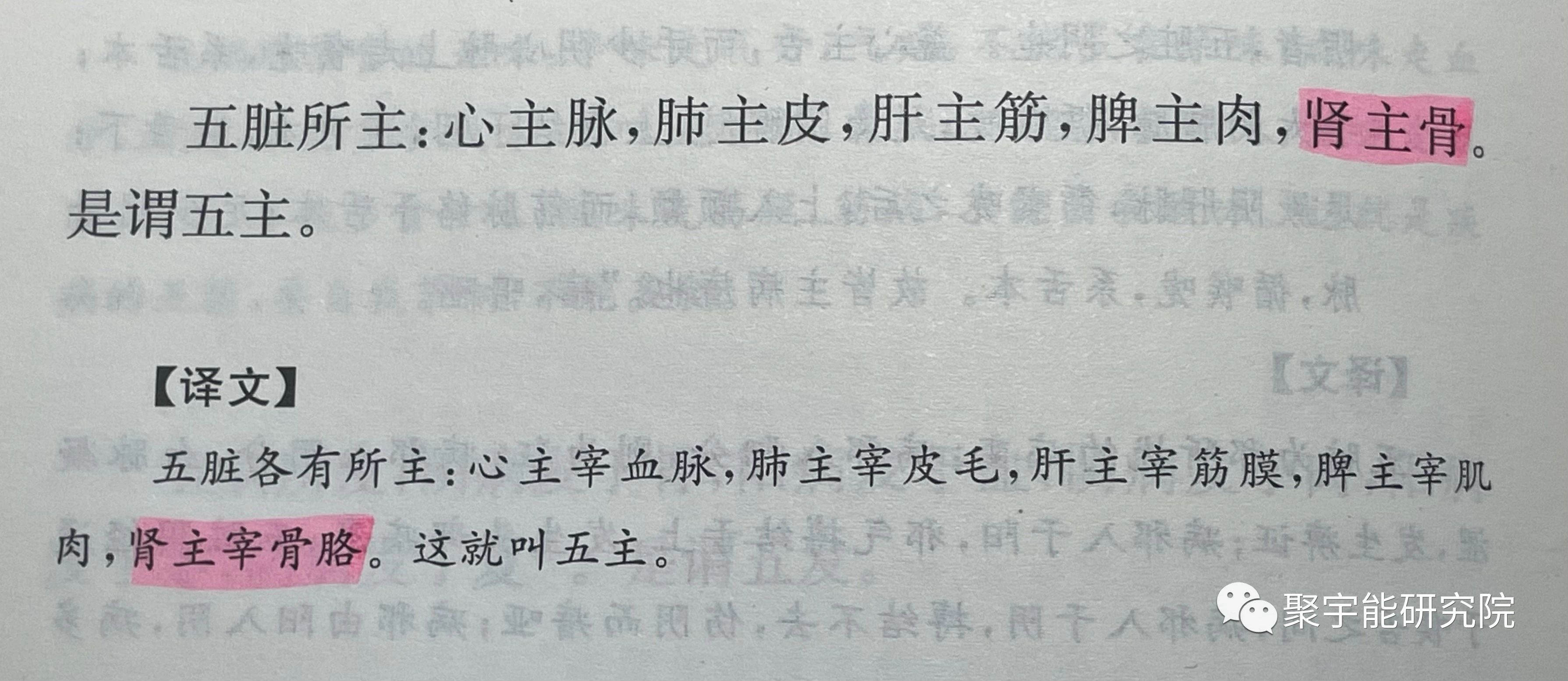 金日光教授:<奇恒之腑>之——人骨的阴阳问题【人类器官组织的阴阳精及精气分布之内秘•之十一】(图10) 10.jpg