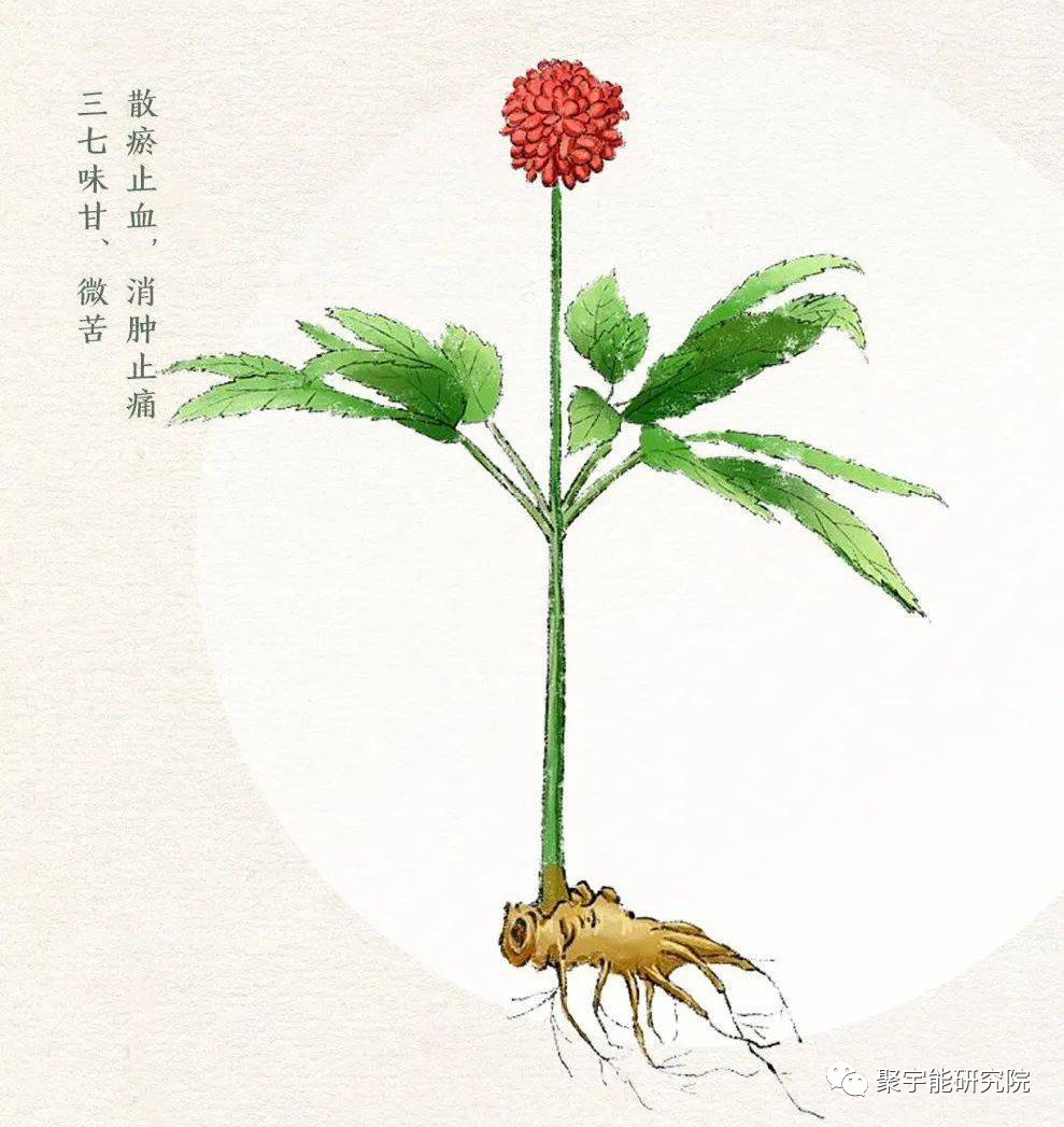 金日光教授:【漫谈《黄帝内经》•之三】用中药及聚宇能生命动力水,从根本上来解决我国亿万心脑血管病人之根源一一血液瘀堵!(图1) 1.png