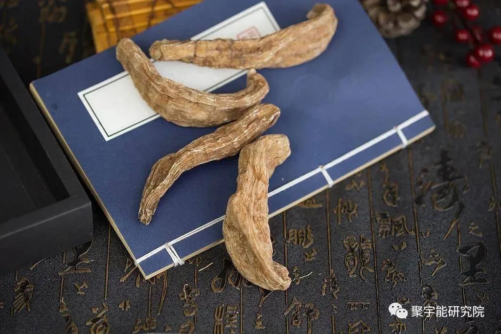 金日光教授:【漫谈《黄帝内经》•之三】用中药及聚宇能生命动力水,从根本上来解决我国亿万心脑血管病人之根源一一血液瘀堵!(图8) 8.jpg