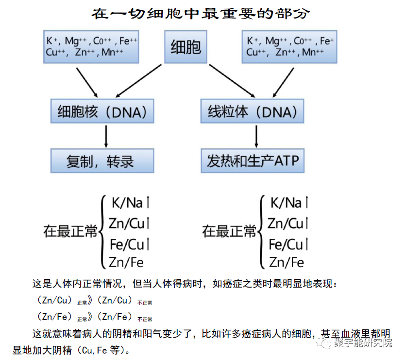 金日光教授:【《黄帝内经》漫谈•之四】癌灶阴阳精及精气特点(图6) 8.png