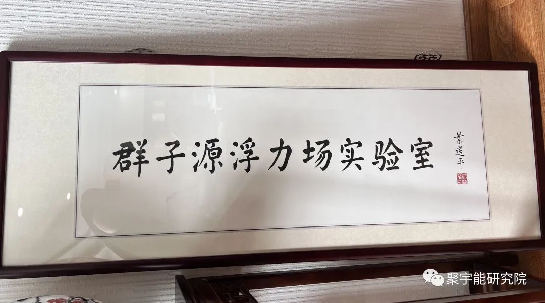 金日光教授:【《黄帝内经》漫谈•之二十】聚宇能生命动力液也有的瞑眩反应?(图5) 4.jpg
