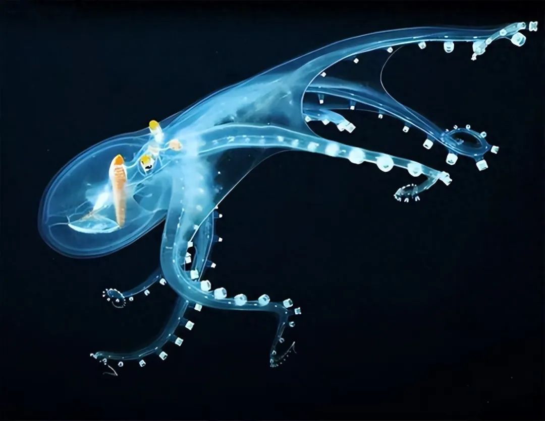 18个难以置信的事实,别不信,都是真实的(图12) 28.jpg