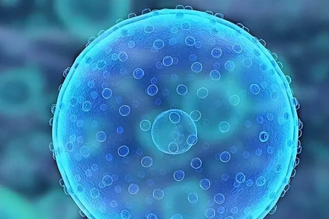 18个难以置信的事实,别不信,都是真实的(图13) 29.jpg