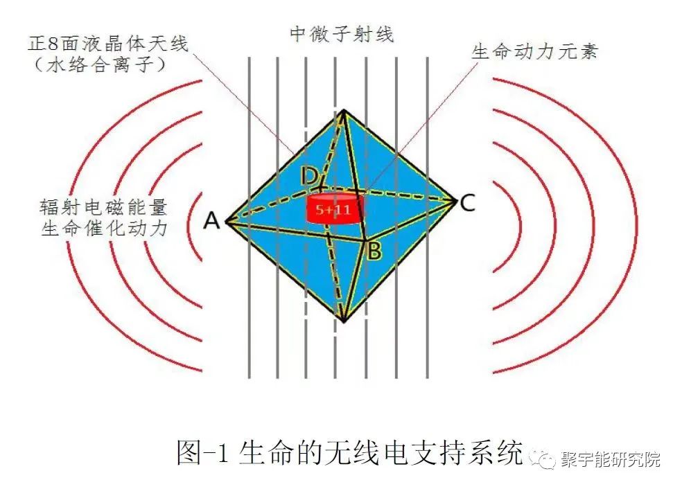 金日光教授:为什么中医药学是<伟大宝库>旳含义(图4) 4.jpg