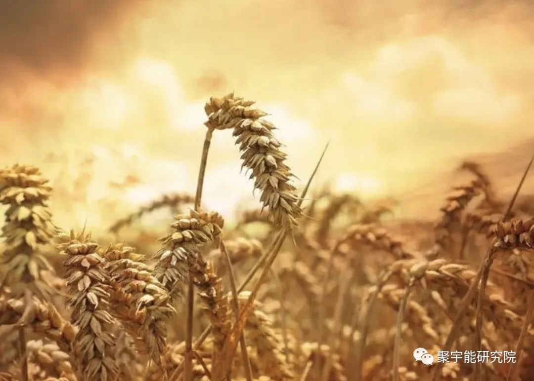 金日光教授:【《黄帝内经》漫谈•之七十五】怎么能说现在的科学解释不了中医?(图2) 29.jpg