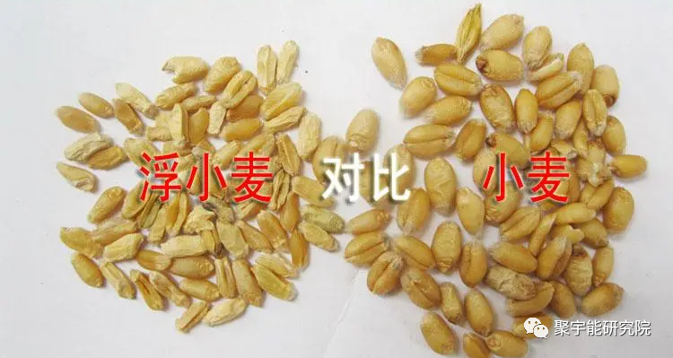 金日光教授:【《黄帝内经》漫谈•之七十五】怎么能说现在的科学解释不了中医?(图4) 31.png