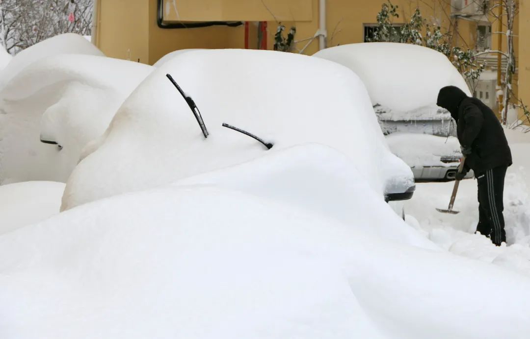 烟台积雪深达52厘米,“中国雪窝”实锤(图1) 1.jpg