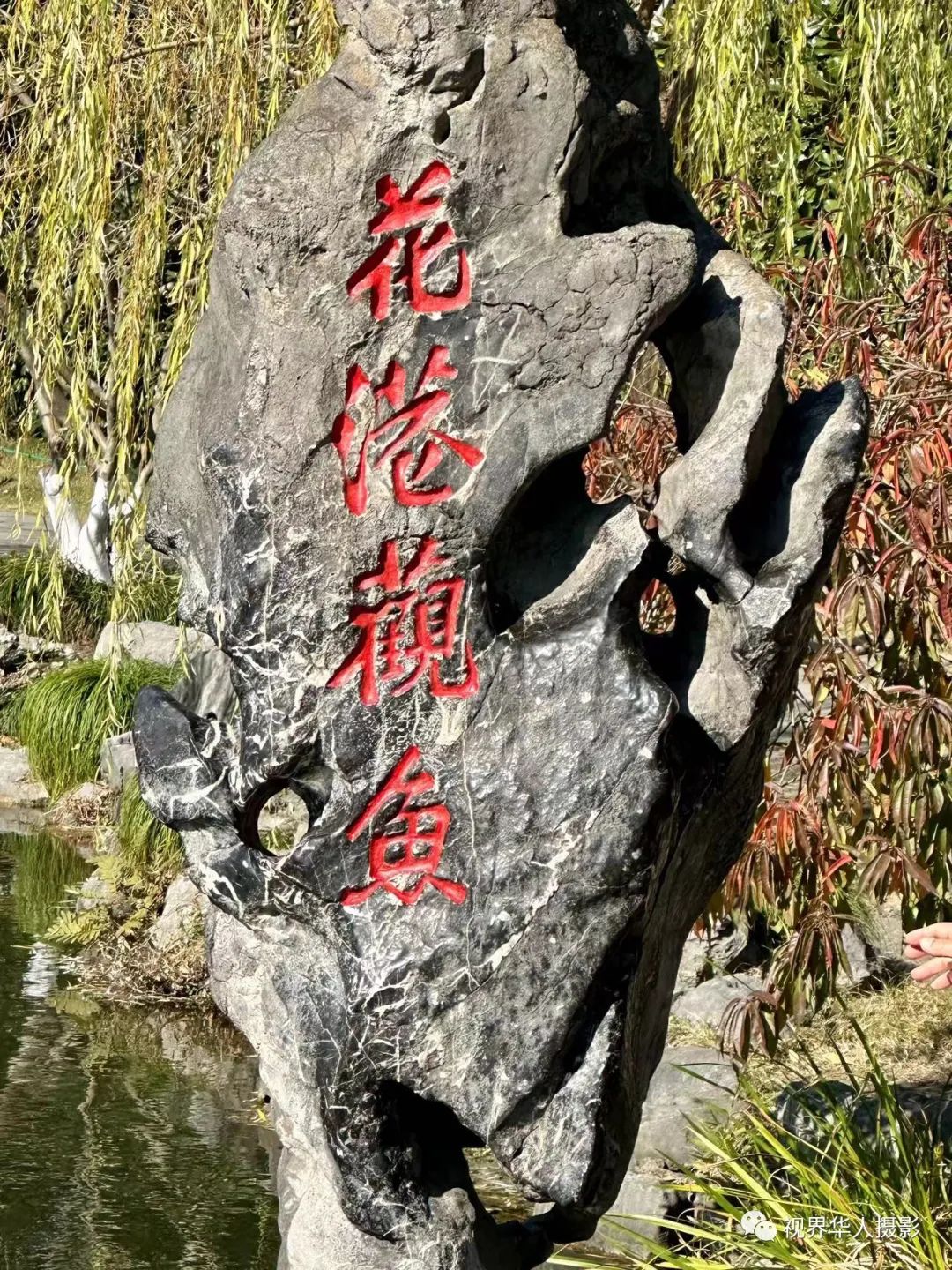 岑国荣|辞旧迎新的祝福:年年有鱼(图1) 01.jpg