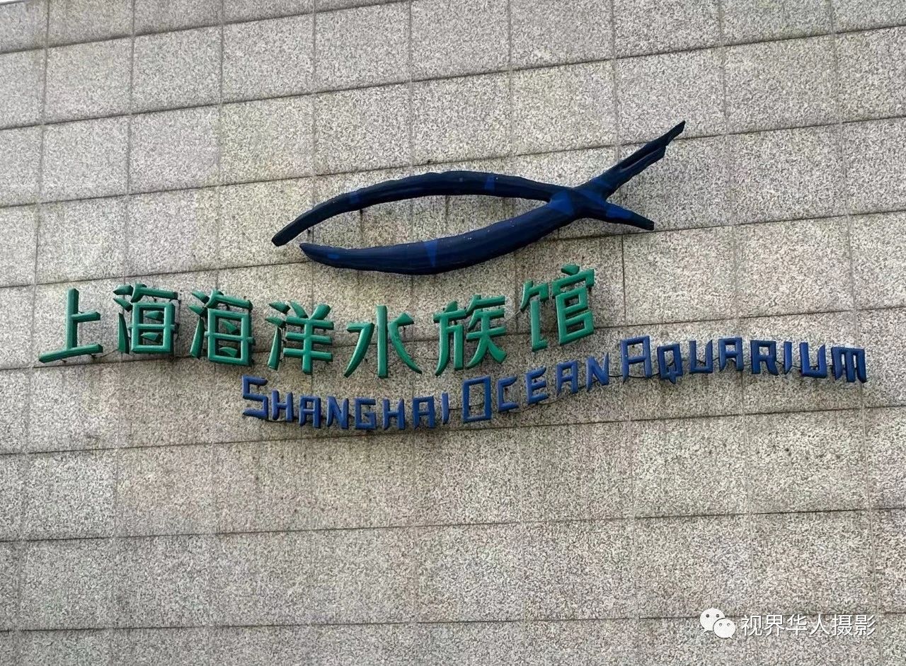 岑国荣|辞旧迎新的祝福:年年有鱼(图3) 3.jpg