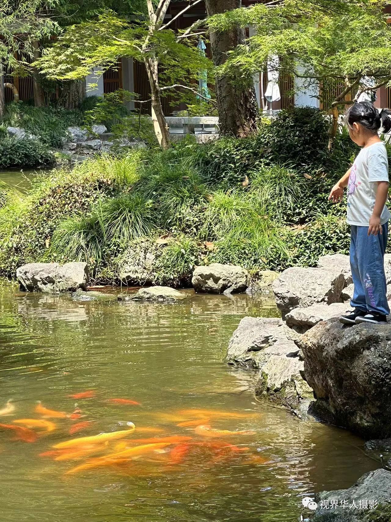 岑国荣|辞旧迎新的祝福:年年有鱼(图17) 17.jpg