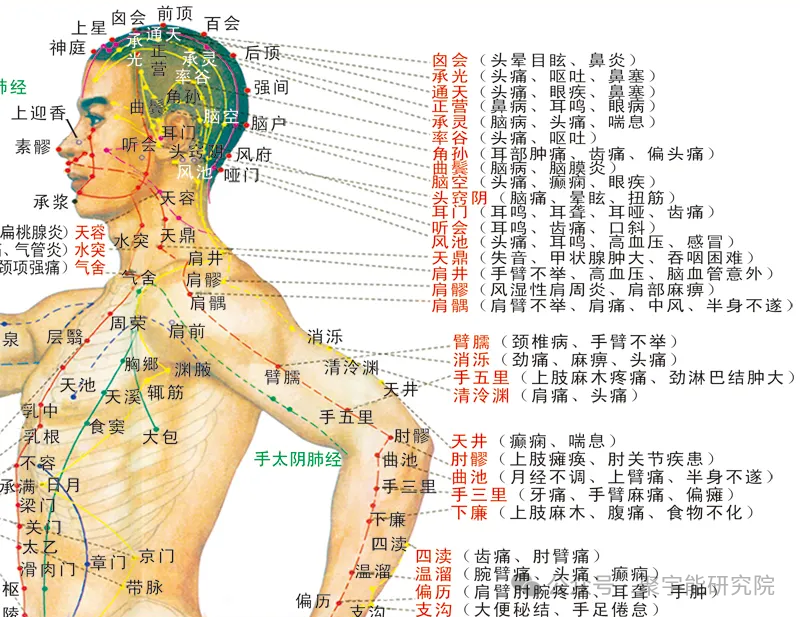 金日光教授:【《黄帝内经》所深藏的奥秘•之二十八】金某,你能说得清《内经》里表里经穴位数之比≈2的问题?(图3) 640.png