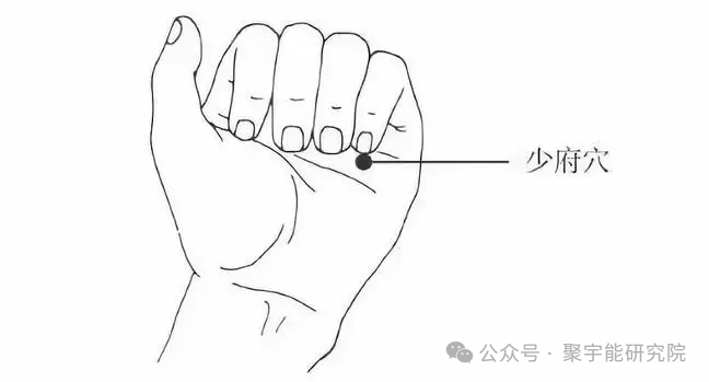 金日光教授:【《黄帝内经》所深藏的奥秘•之三十三】(图13) 640.png