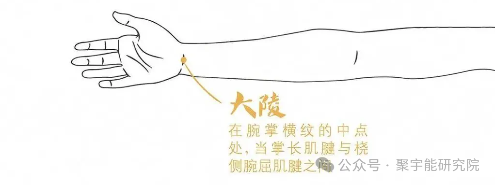 金日光教授:【《黄帝内经》所深藏的奥秘•之三十三】(图18) 640.png