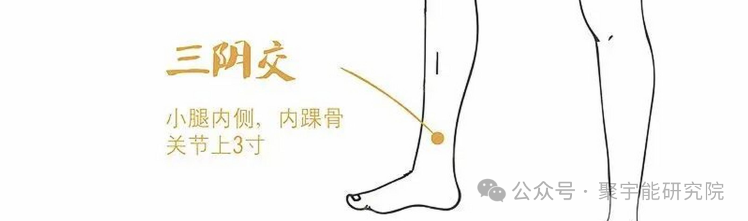 金日光教授:【《黄帝内经》所深藏的奥秘•之三十三】(图20) 640.png