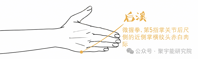 金日光教授:【《黄帝内经》所深藏的奥秘•之三十三】(图25) 640.png