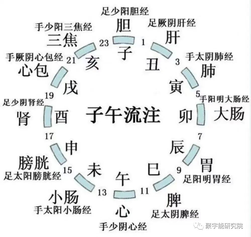 金日光教授:【《黄帝内经》所深藏的奥秘•之三十五】不少群友说《内经》灵枢(本输及官针)里专门说合谷穴曲池穴的功用,但没说为什么?(图1) 640.jpg