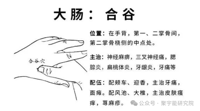 金日光教授:【《黄帝内经》所深藏的奥秘•之三十五】不少群友说《内经》灵枢(本输及官针)里专门说合谷穴曲池穴的功用,但没说为什么?(图5) 640.png